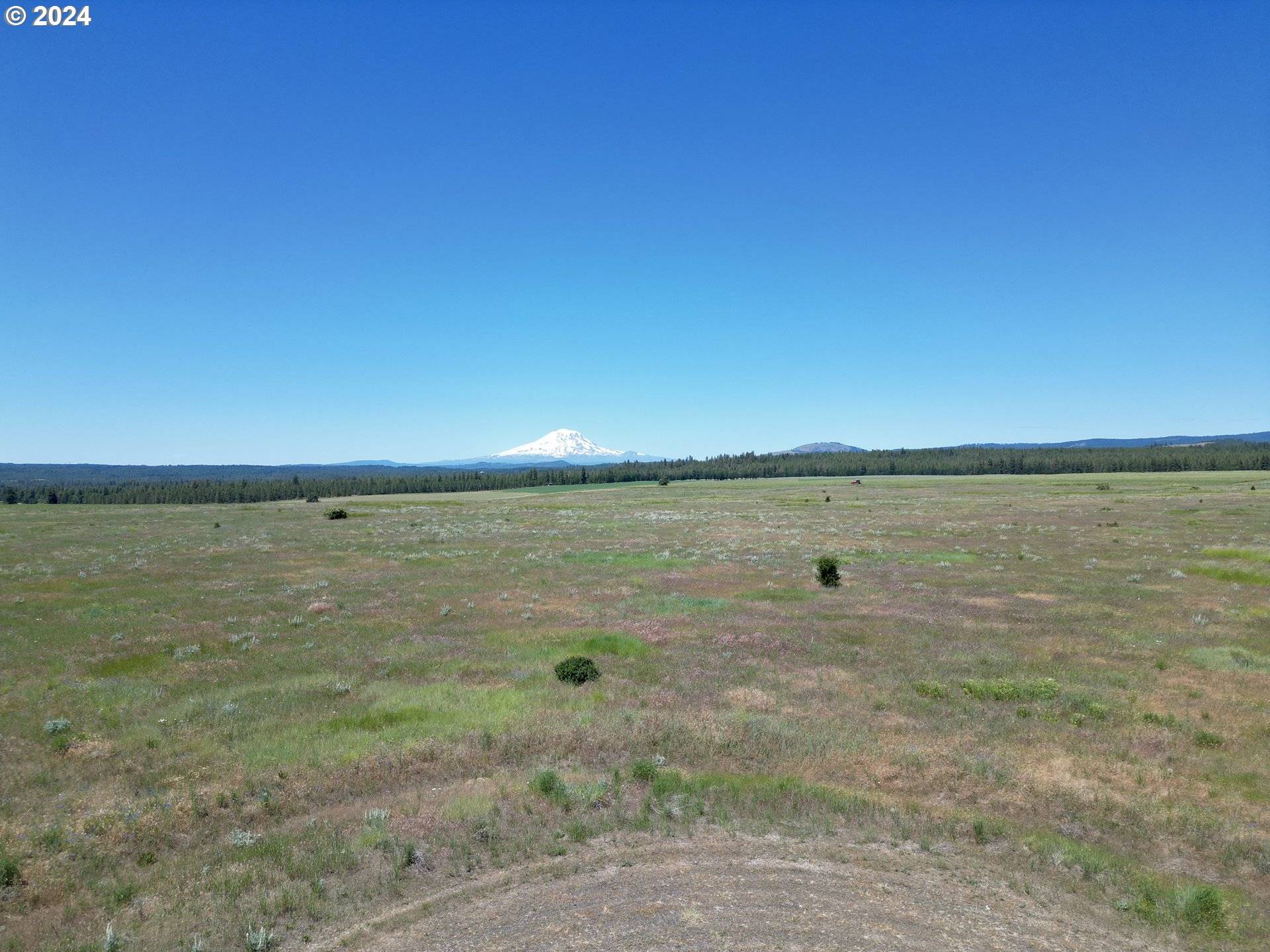 Goldendale, WA 98620,35 BUDDY LN