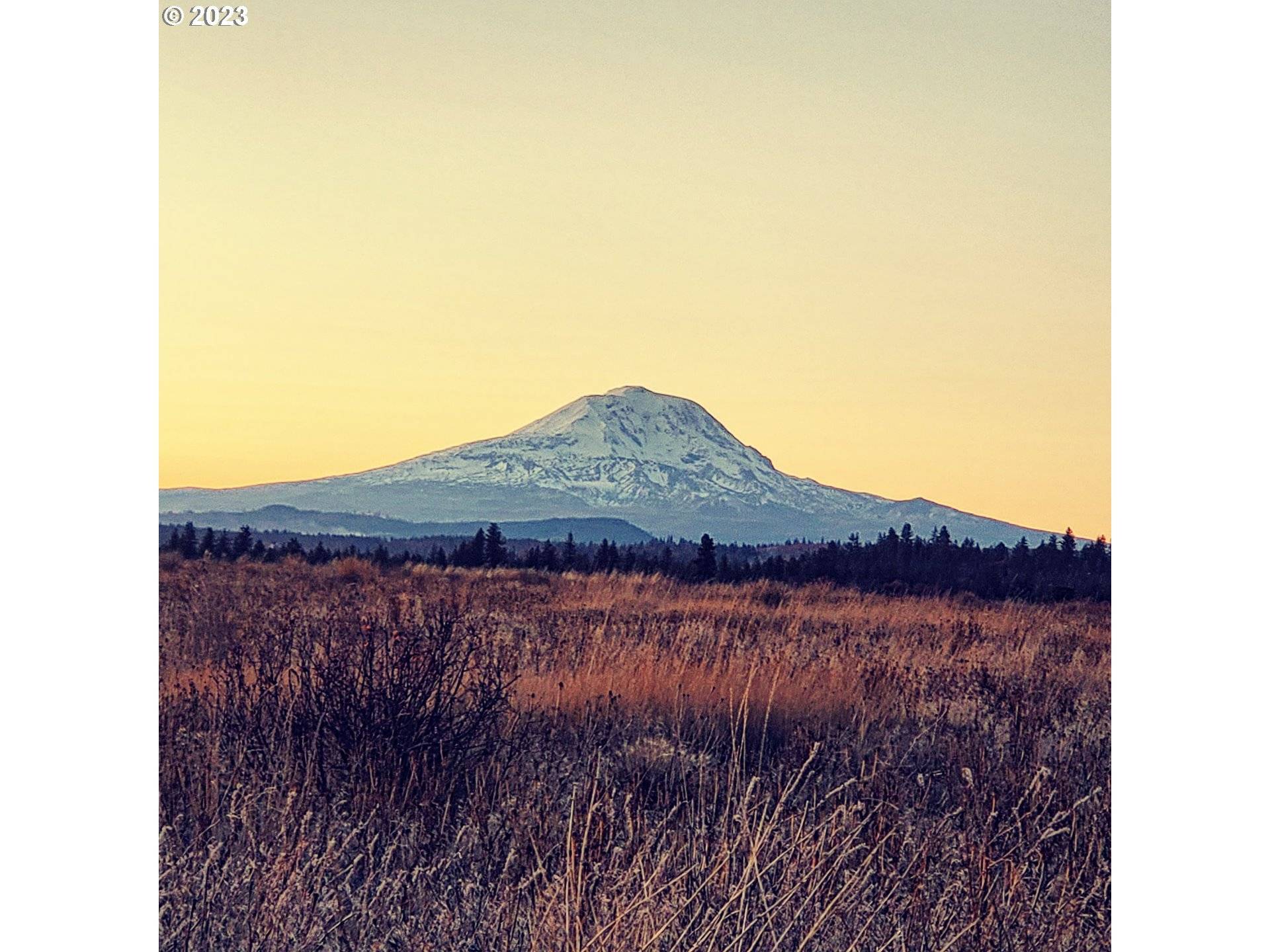 Goldendale, WA 98620,35 BUDDY LN