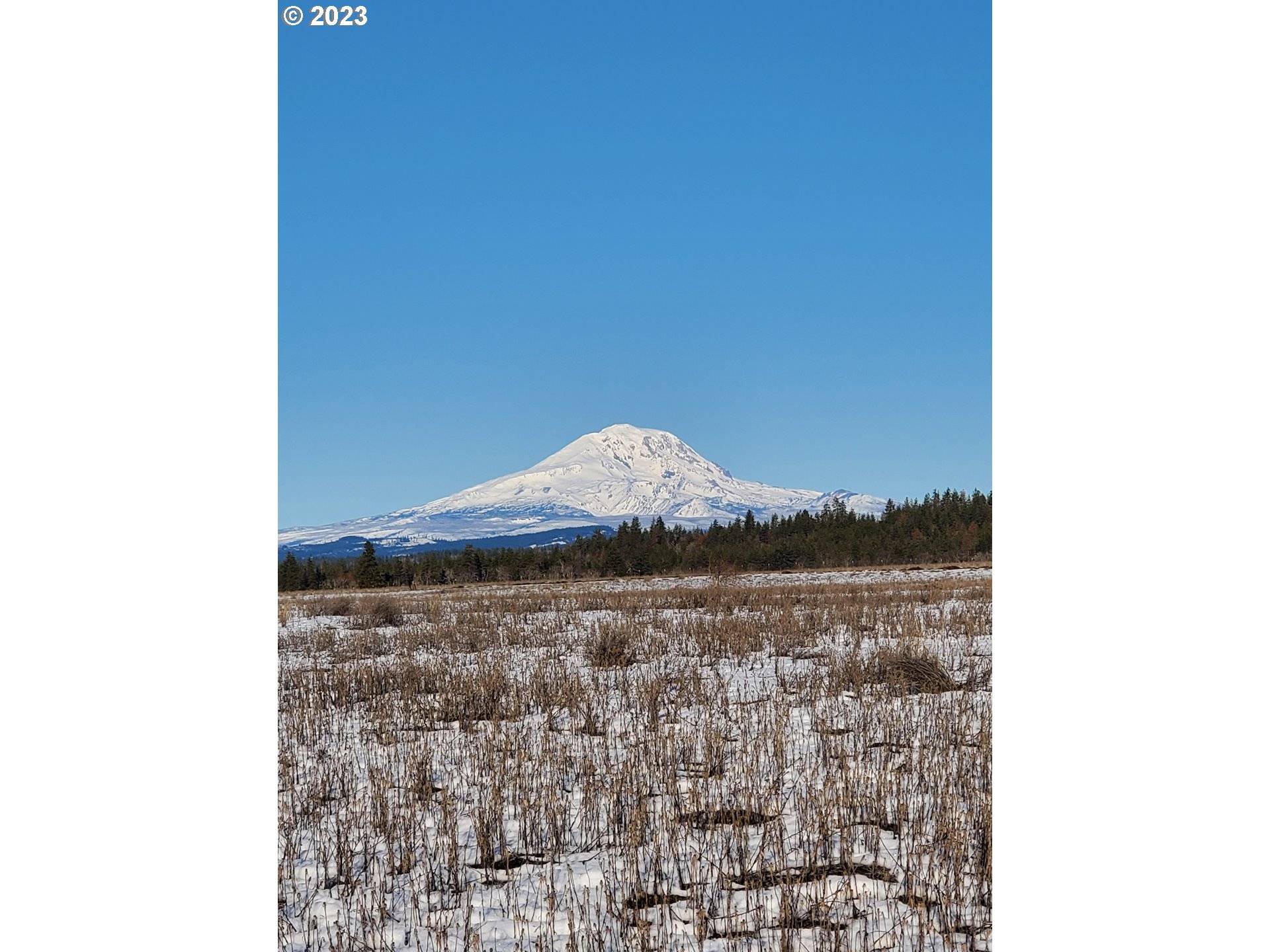 Goldendale, WA 98620,35 BUDDY LN