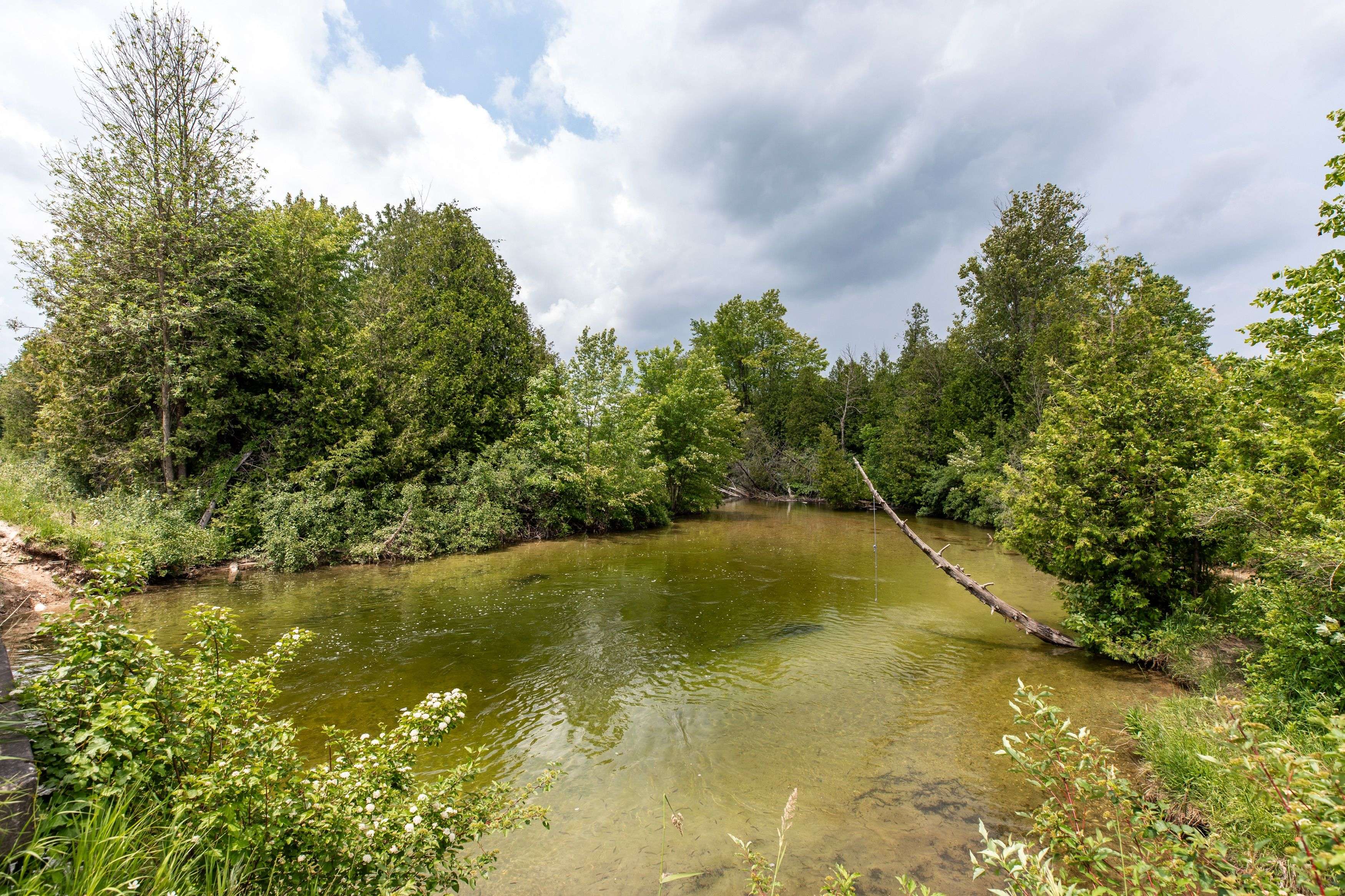 Chatsworth, ON N0H 1K0,135389 Concession 8 RD