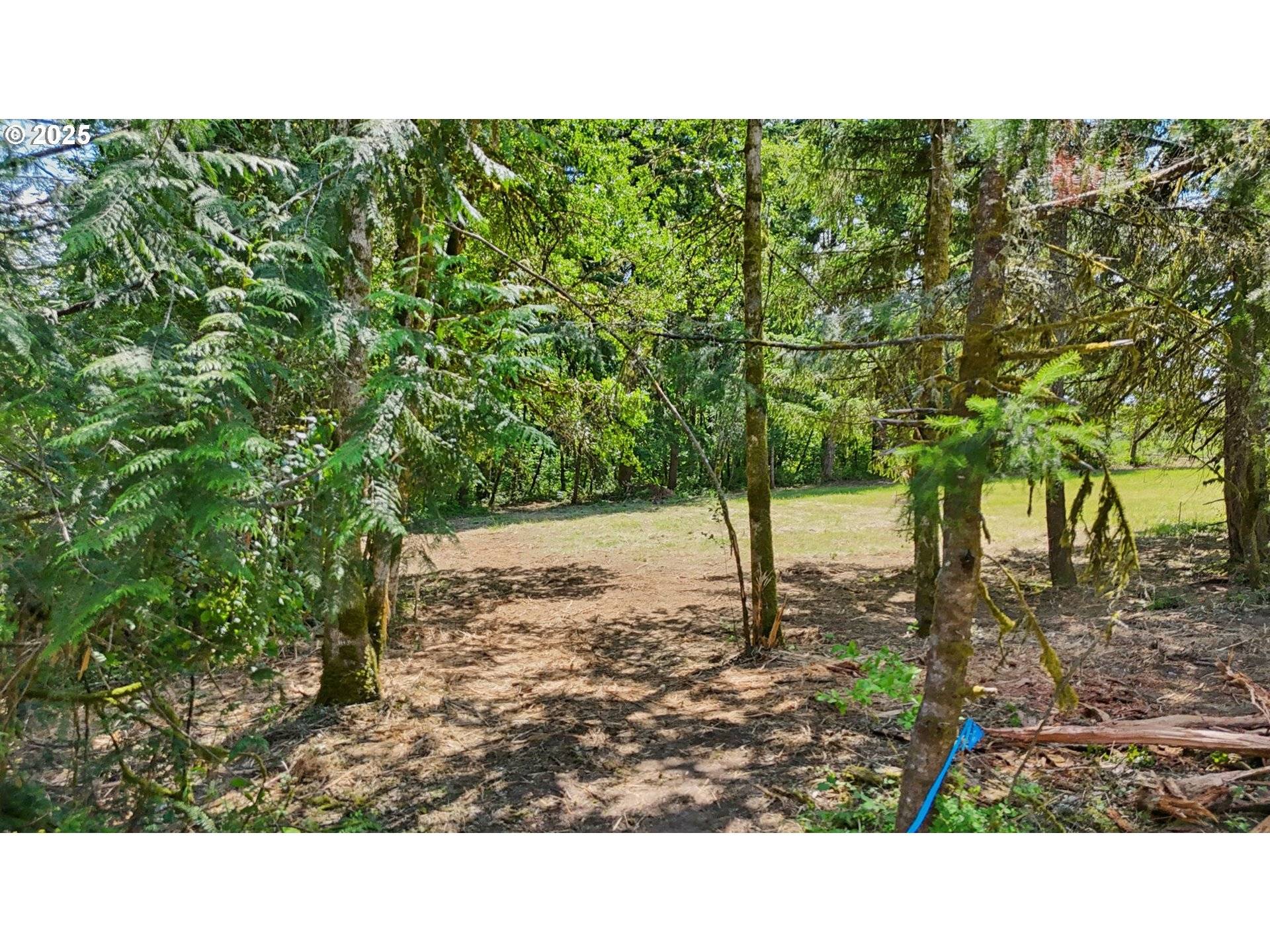 Battle Ground, WA 98604,0 NE 279th ST