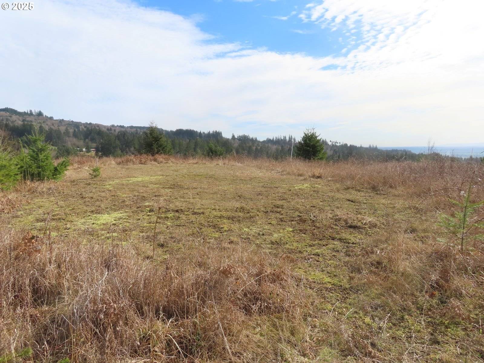 Kalama, WA 98625,910 CONFER RD