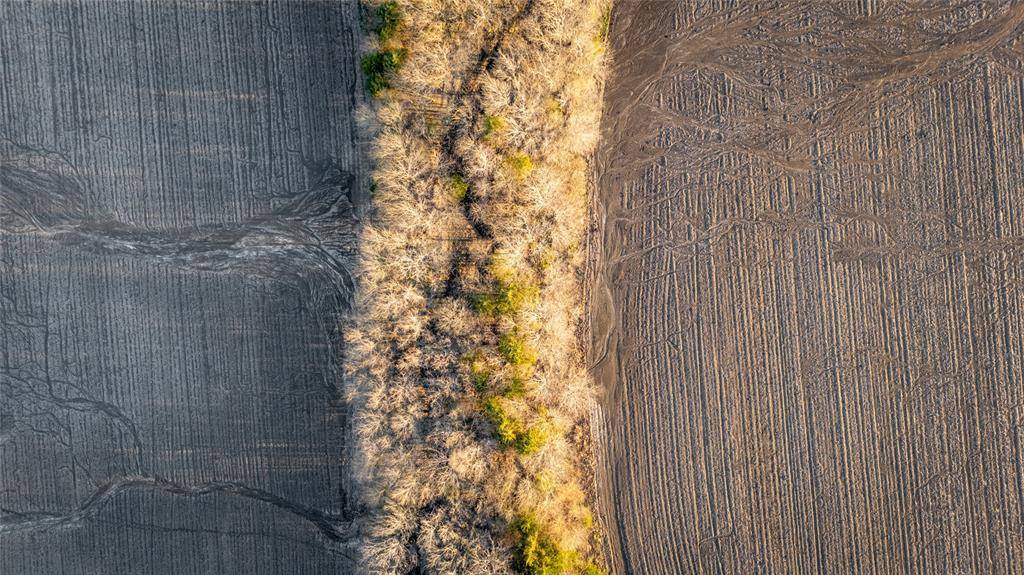 Ben Franklin, TX 75415,TBD County Rd 3240