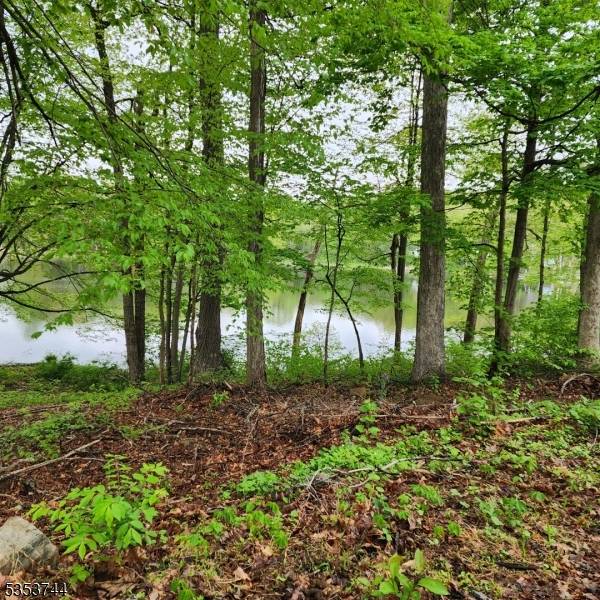 Jefferson Twp., NJ 07849,0 Como Ter