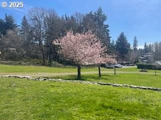White Salmon, WA 98672,1317 RIGGLEMAN LN