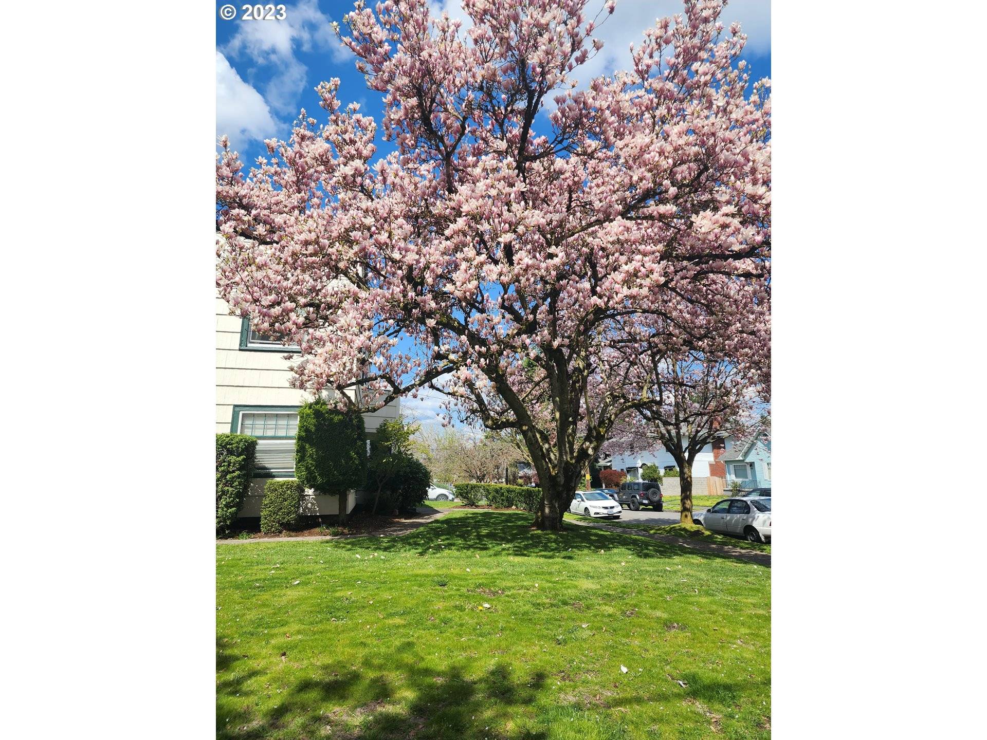 Portland, OR 97217,709 N ROSA PARKS WAY