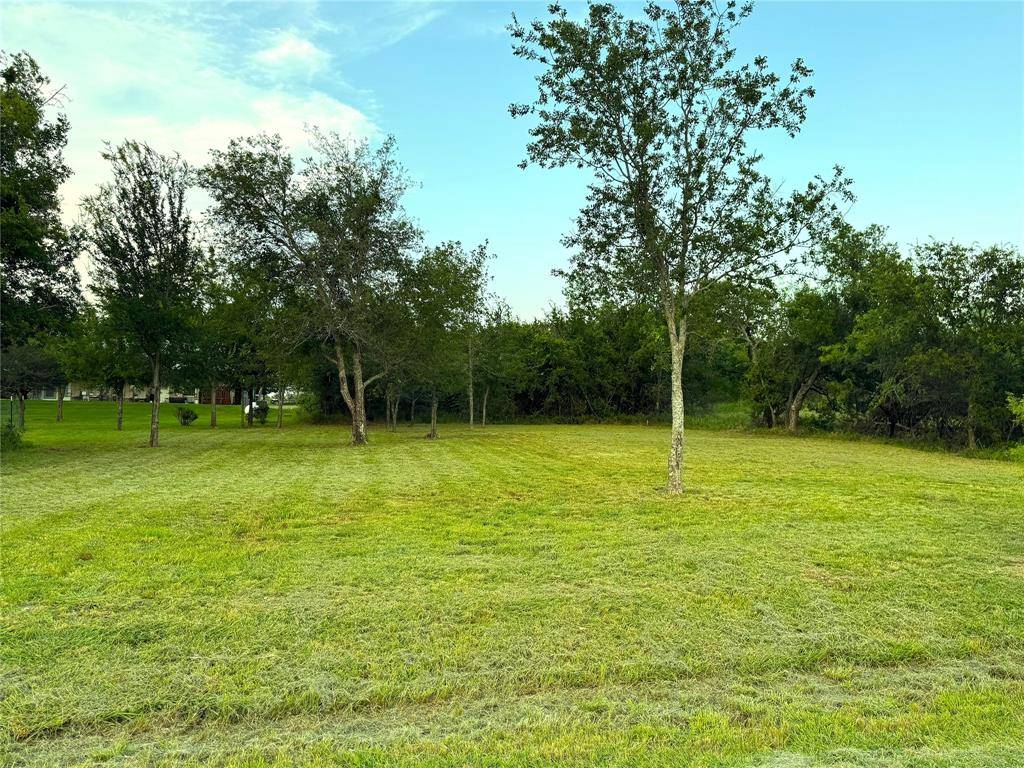Runaway Bay, TX 76426,252 High Bluff Drive