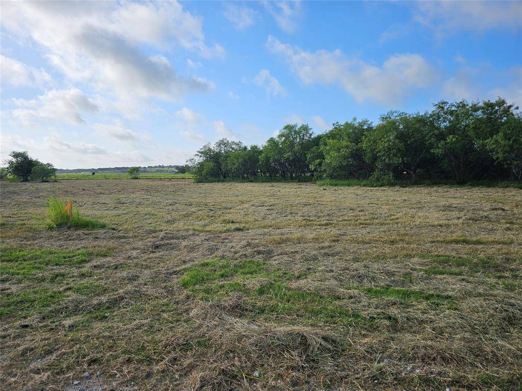 Covington, TX 76636,TBD Lot 6 Block 1