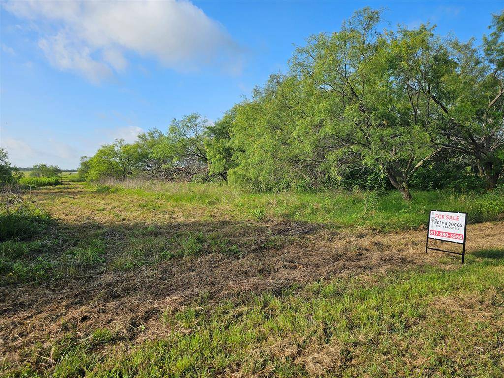 Covington, TX 76636,TBD Lot 6 Block 1