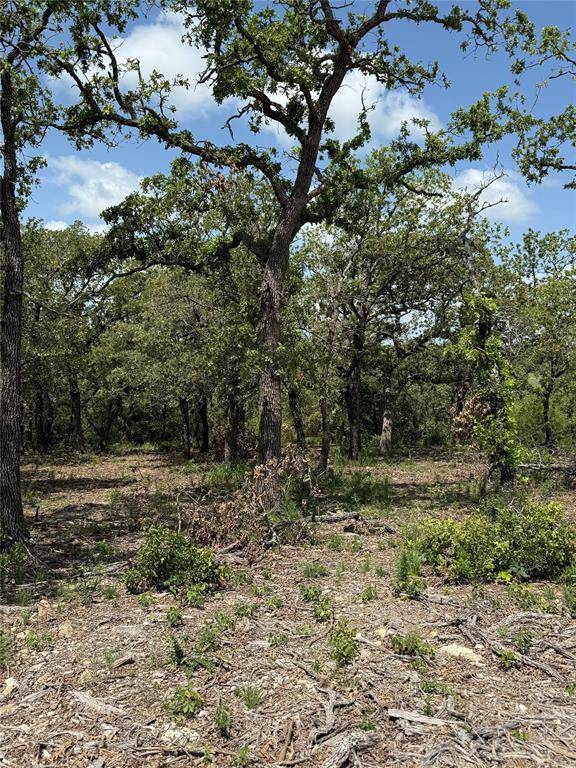 Nocona, TX 76255,TBD Lot 59, Red Oak Hills