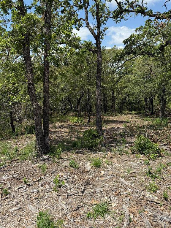 Nocona, TX 76255,TBD Lot 59, Red Oak Hills