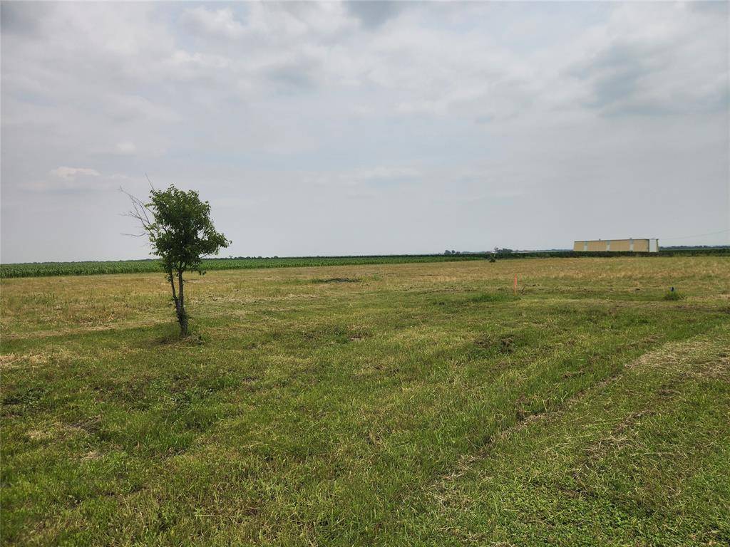 Avalon, TX 76623,TBD Old Blooming Grove Rd