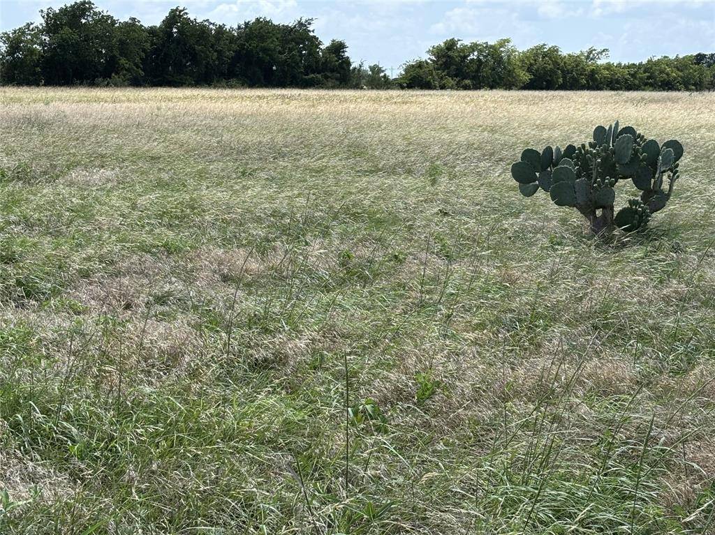Valley Mills, TX 76689,Lot 9 Chisholm Trail
