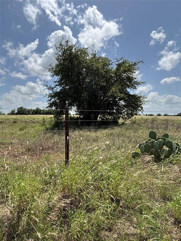 Valley Mills, TX 76689,Lot 10 Chisholm Trail