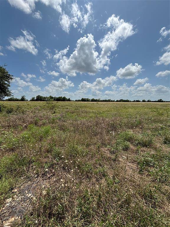 Valley Mills, TX 76689,Lot 10 Chisholm Trail