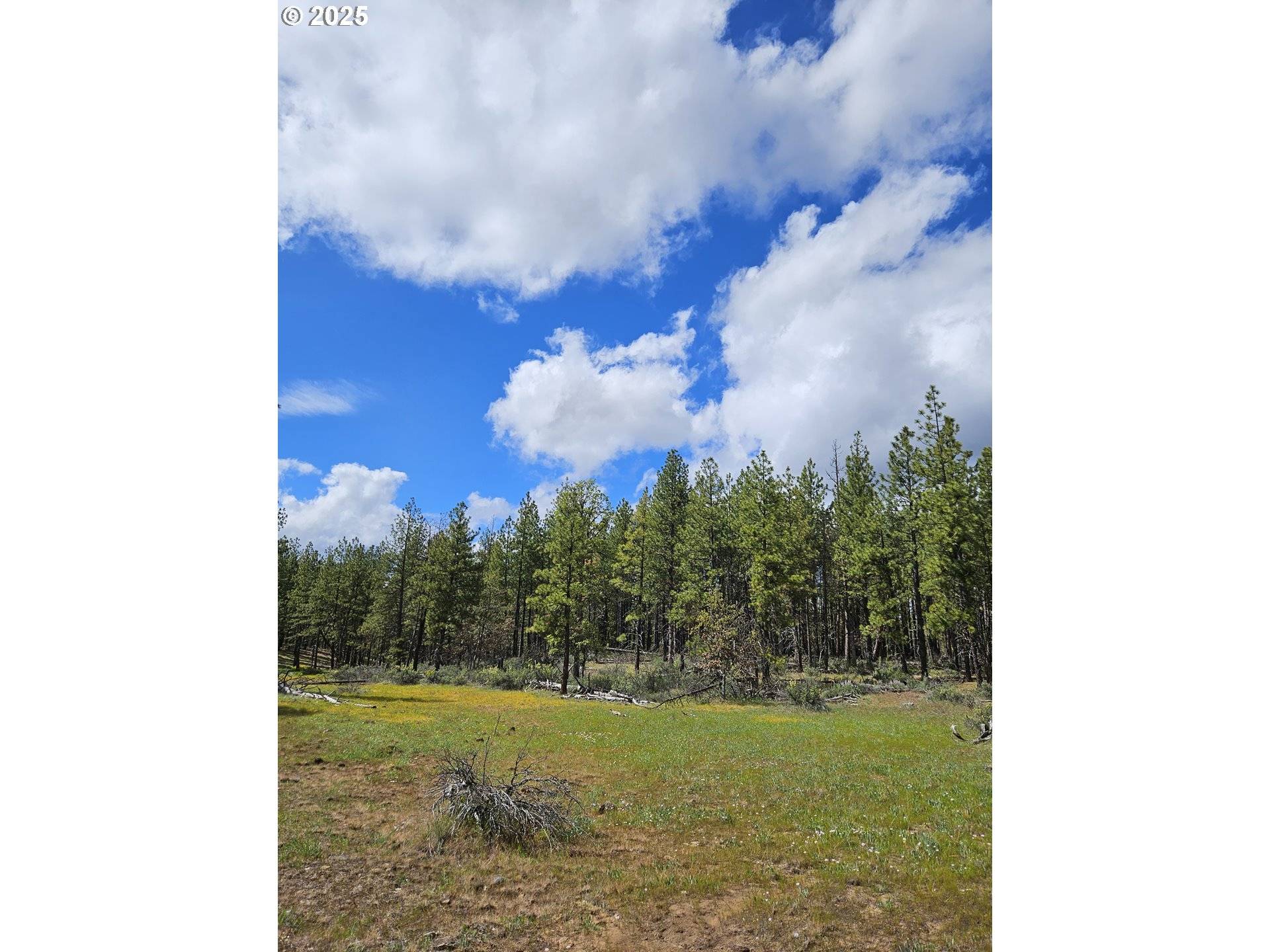 Goldendale, WA 98620,Lot 2 Hawks Wind