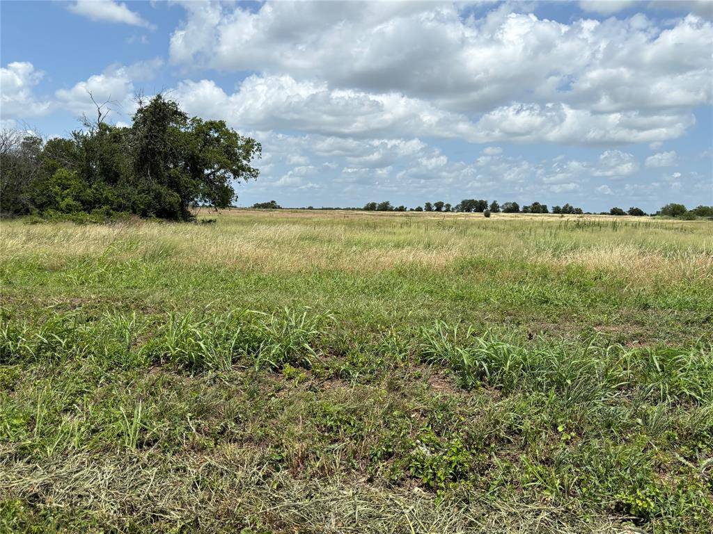 Valley Mills, TX 76689,Tract 2 Patton Road