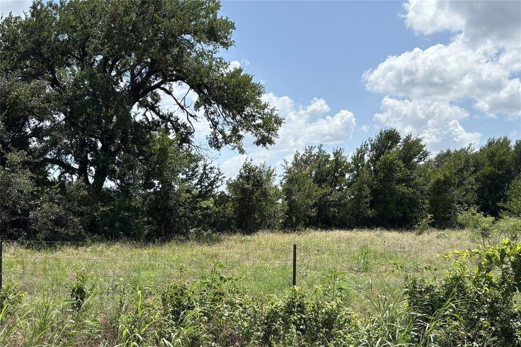 Valley Mills, TX 76689,Lot 13 Chisholm Trail