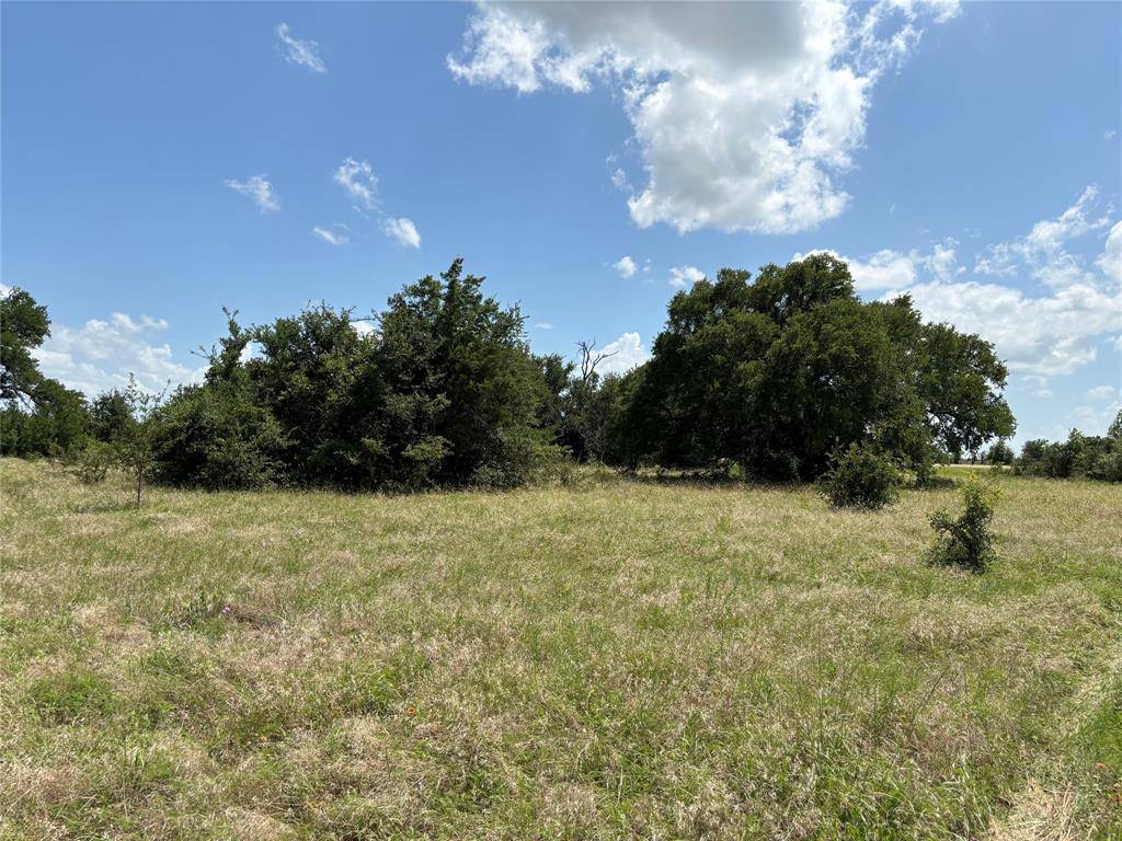 Valley Mills, TX 76689,Lot 13 Chisholm Trail