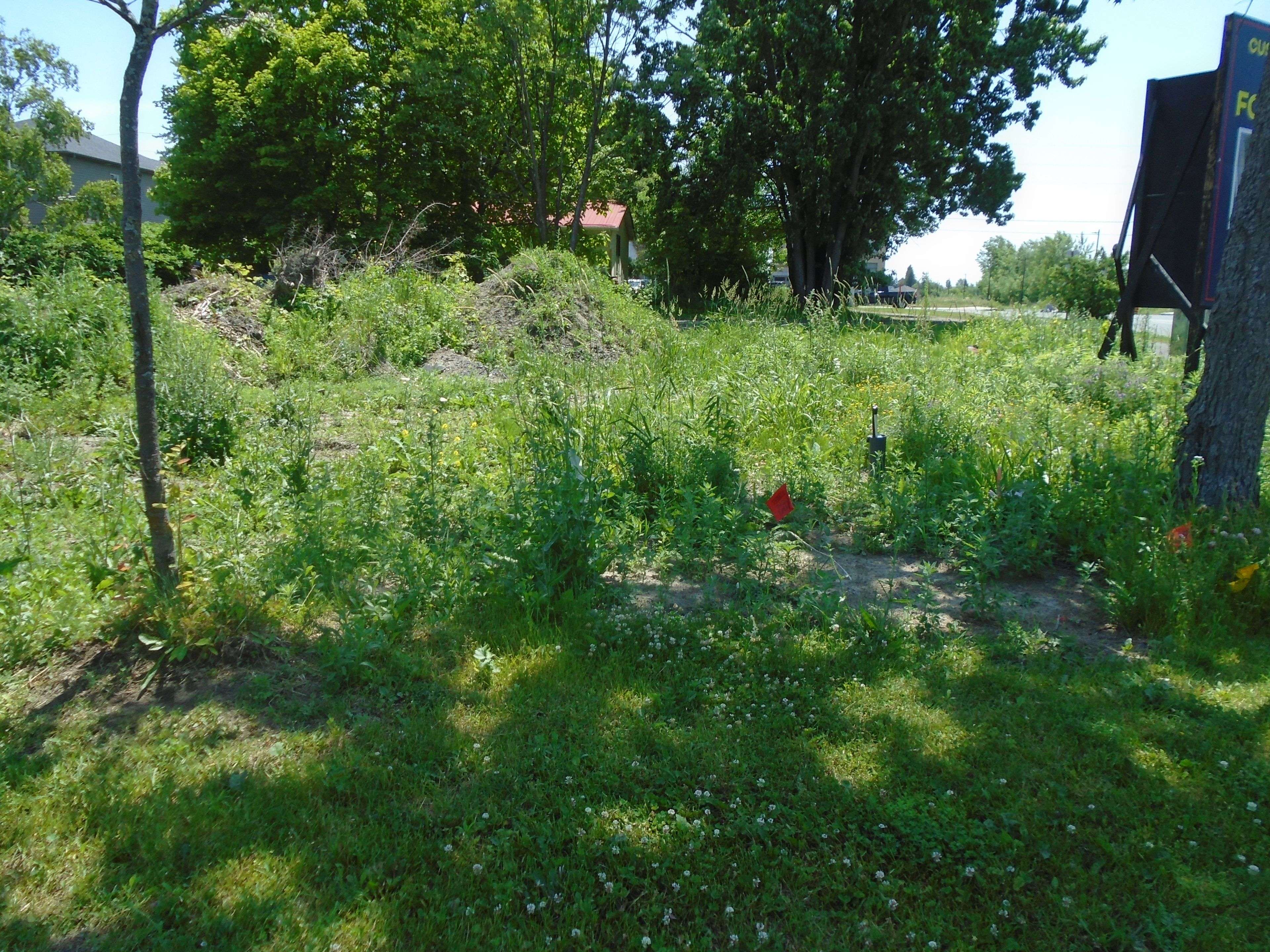 Orleans - Convent Glen And Area, ON K4B 1H9,285 Enclave Walk WALK E