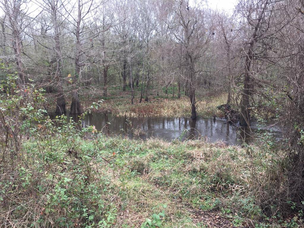 TBD Big Creek, Shepherd, TX 77371