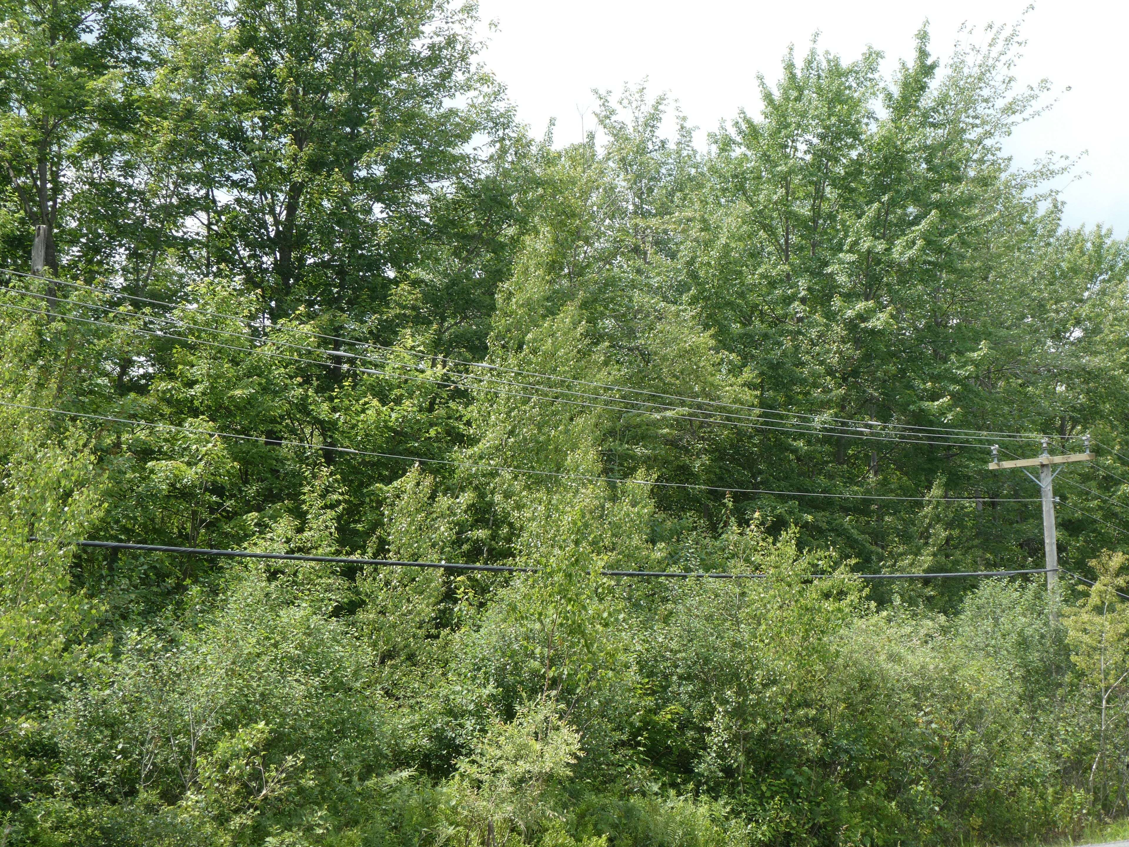 North Stormont, ON K0C 1Y0,0000 County Road 15 RD