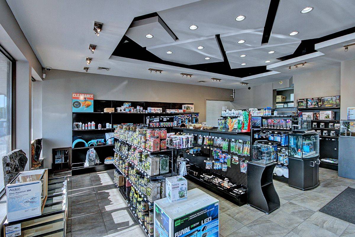 London South, ON N6J 4K2,99 BELMONT DR #5