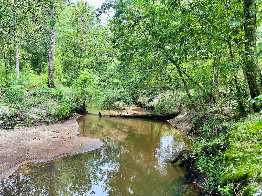 Slocomb, AL 36375,165 Wrights Road