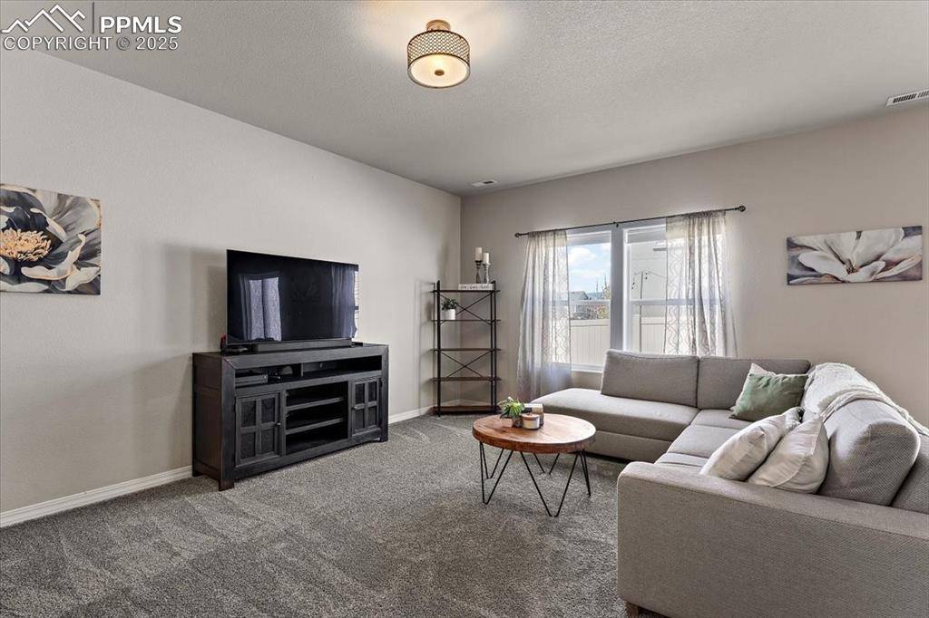 Fountain, CO 80817,11046 Quercia CIR