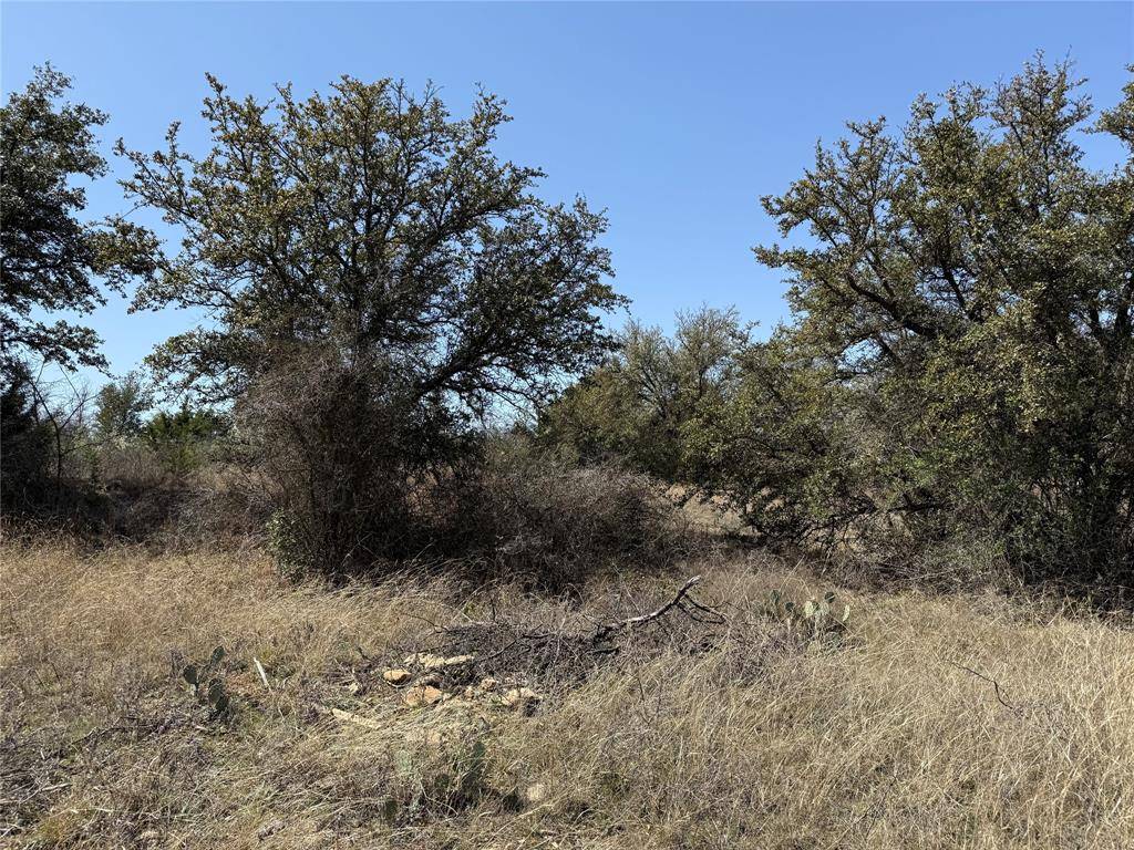 Breckenridge, TX 76424,N/A Wayland Ranches