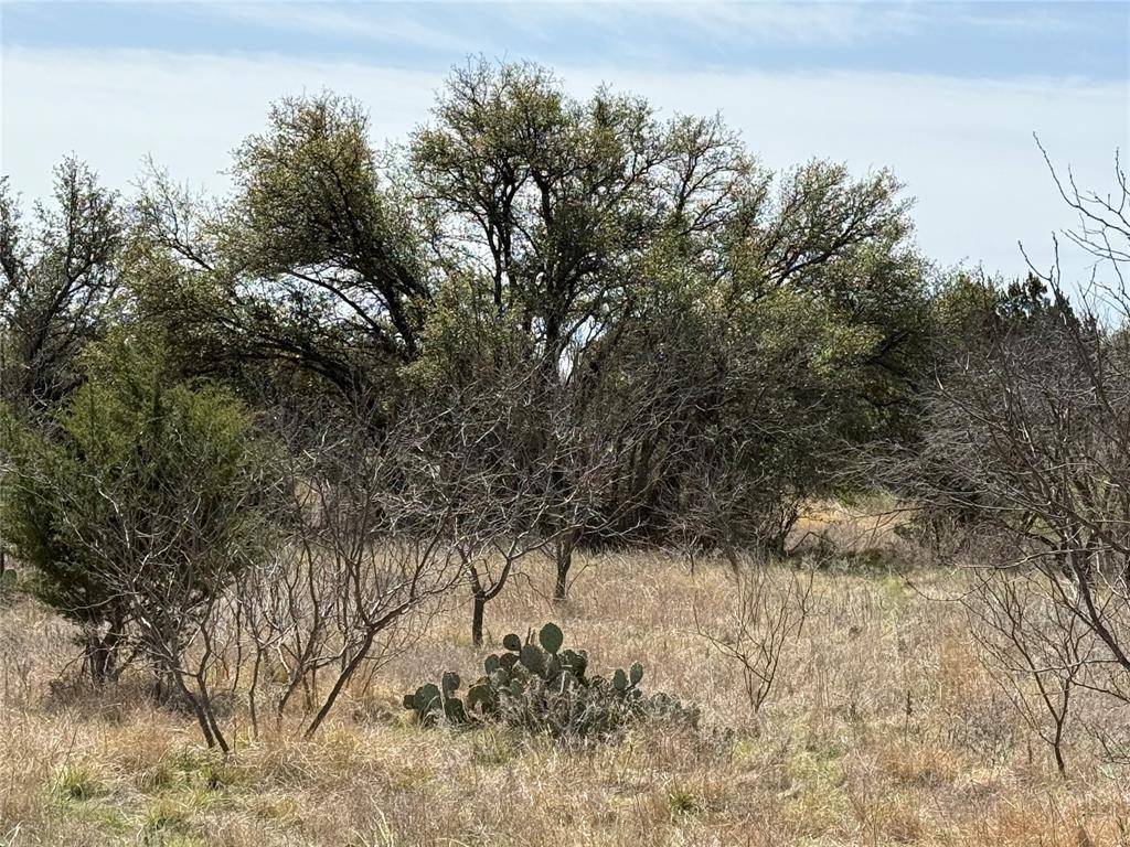 Breckenridge, TX 76424,N/A Wayland Ranches