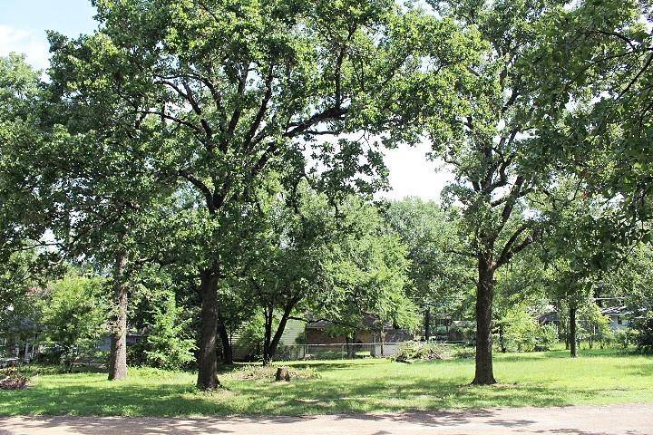 Gun Barrel City, TX 75156,0 Wildgrove Drive