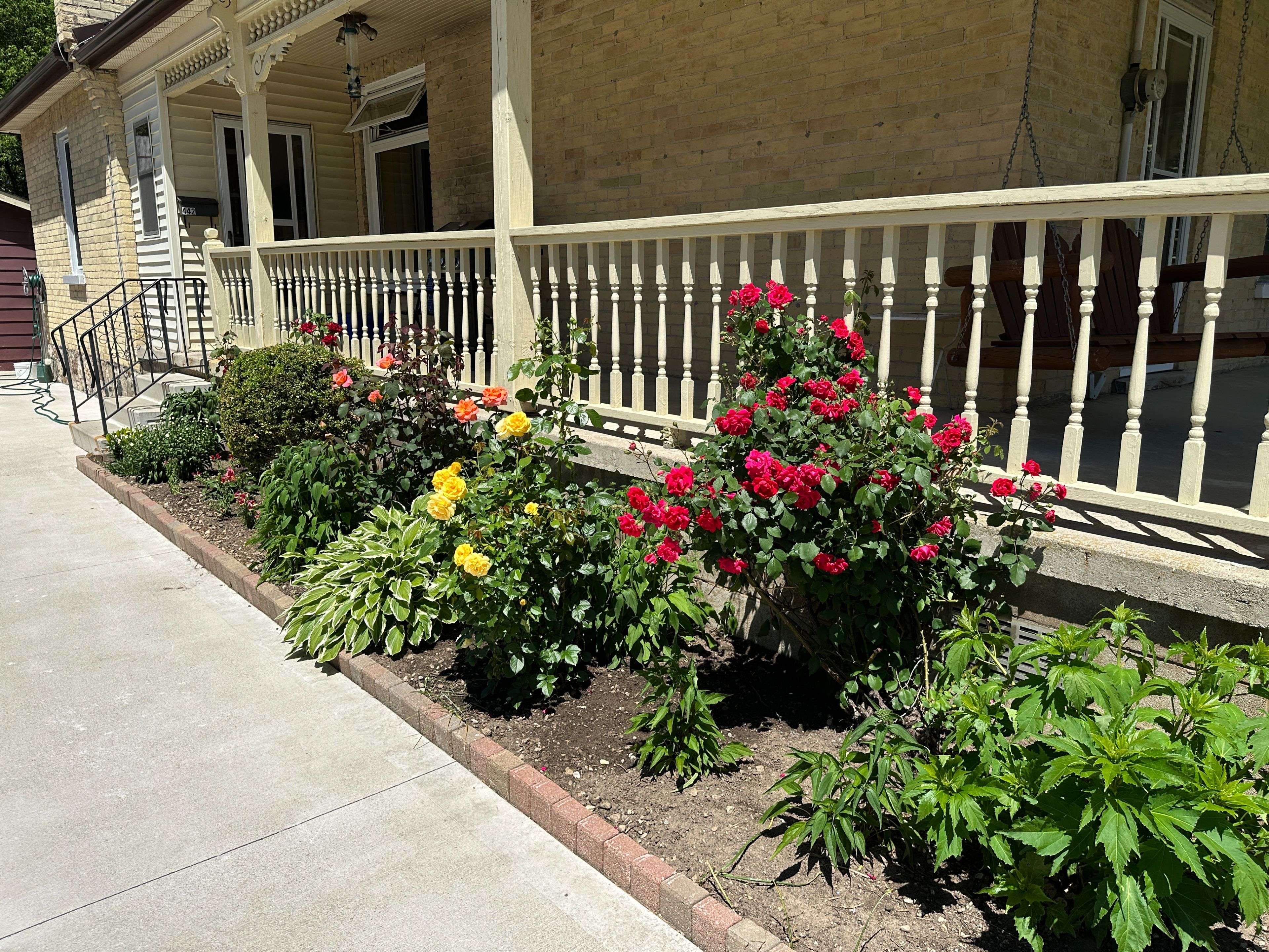Hanover, ON N4N 1S7,442 11th ST