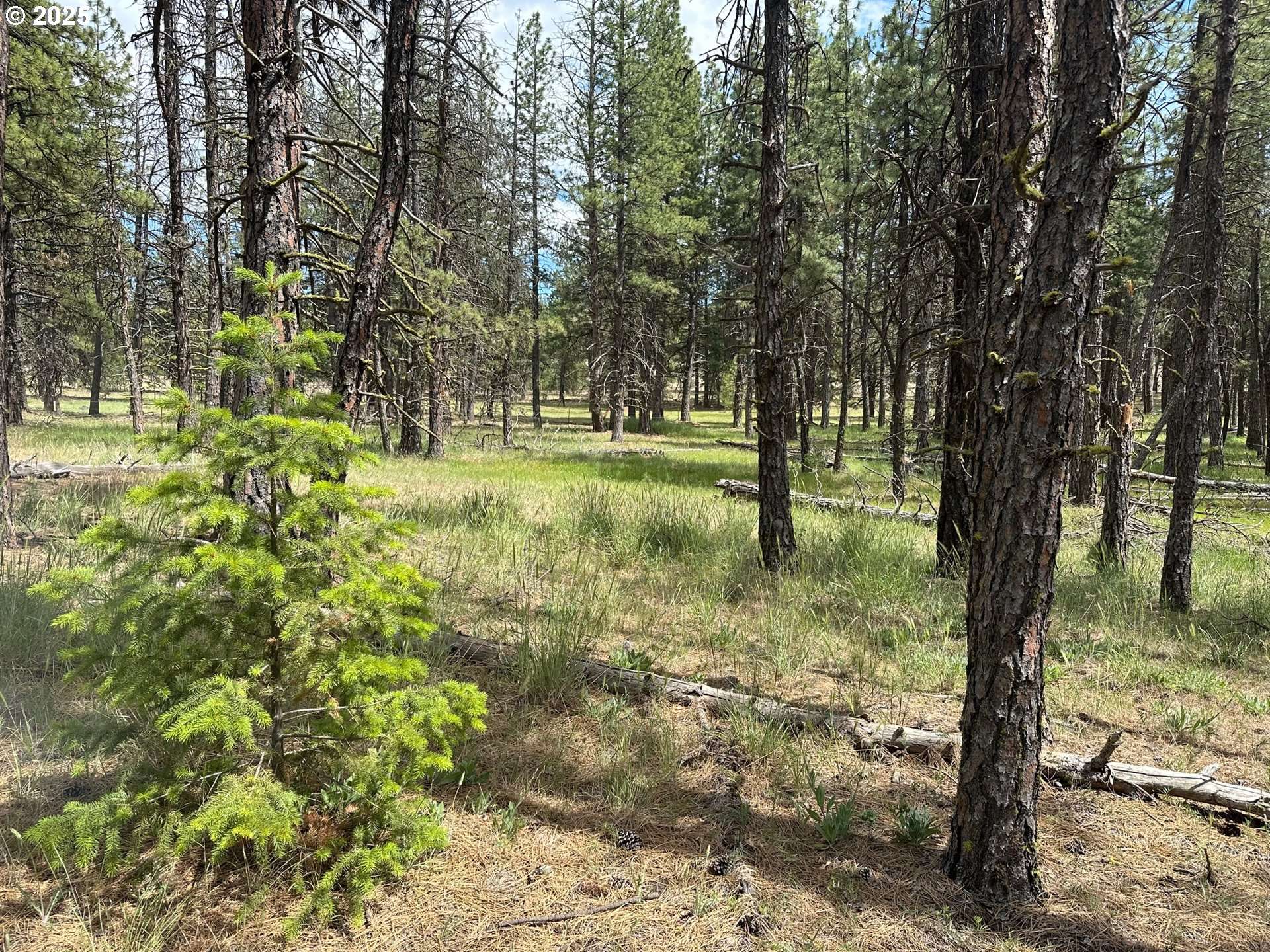 Goldendale, WA 98620,000 Pipeline RD