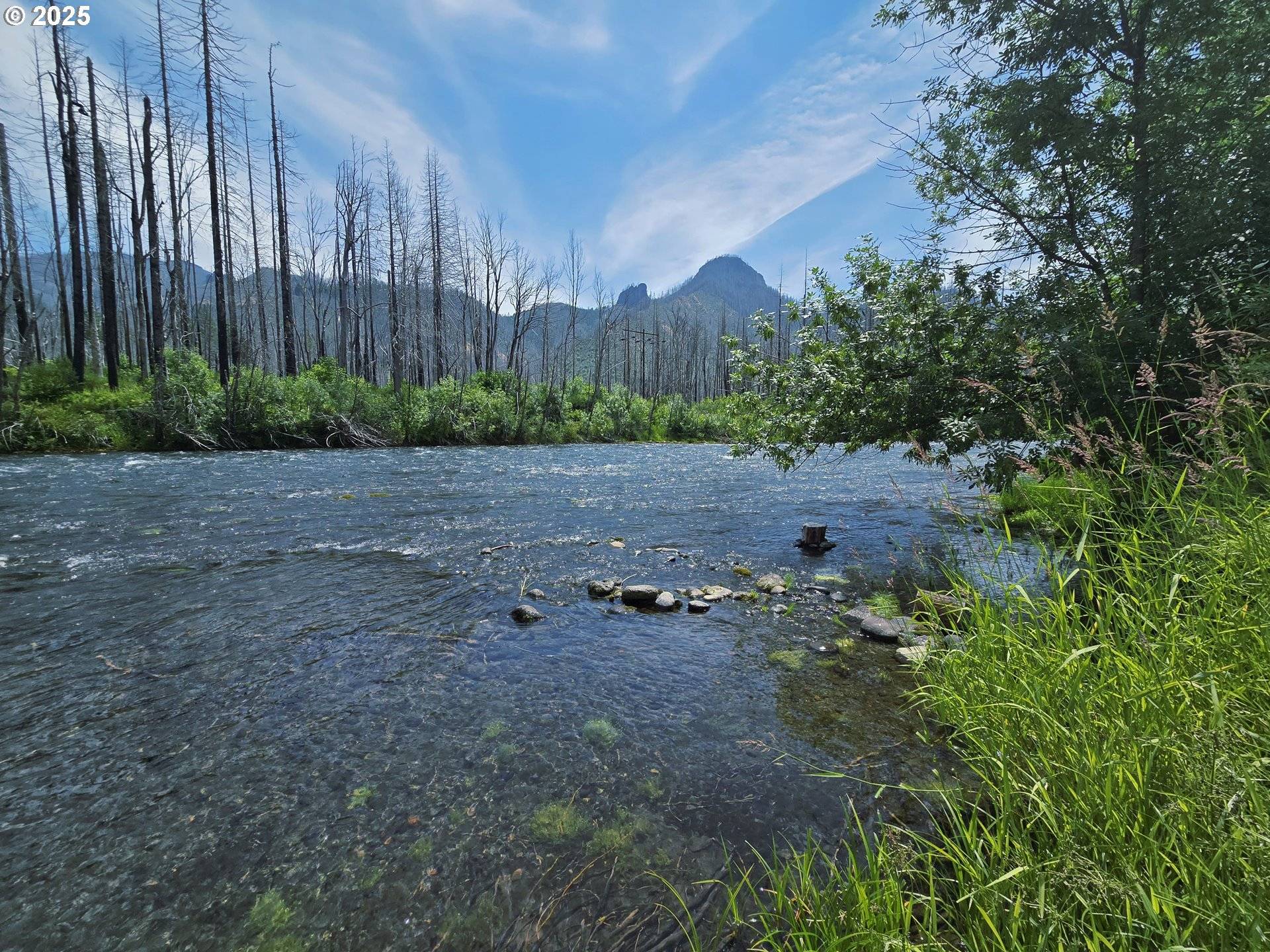 Blue River, OR 97413,52262 MCKENZIE HWY