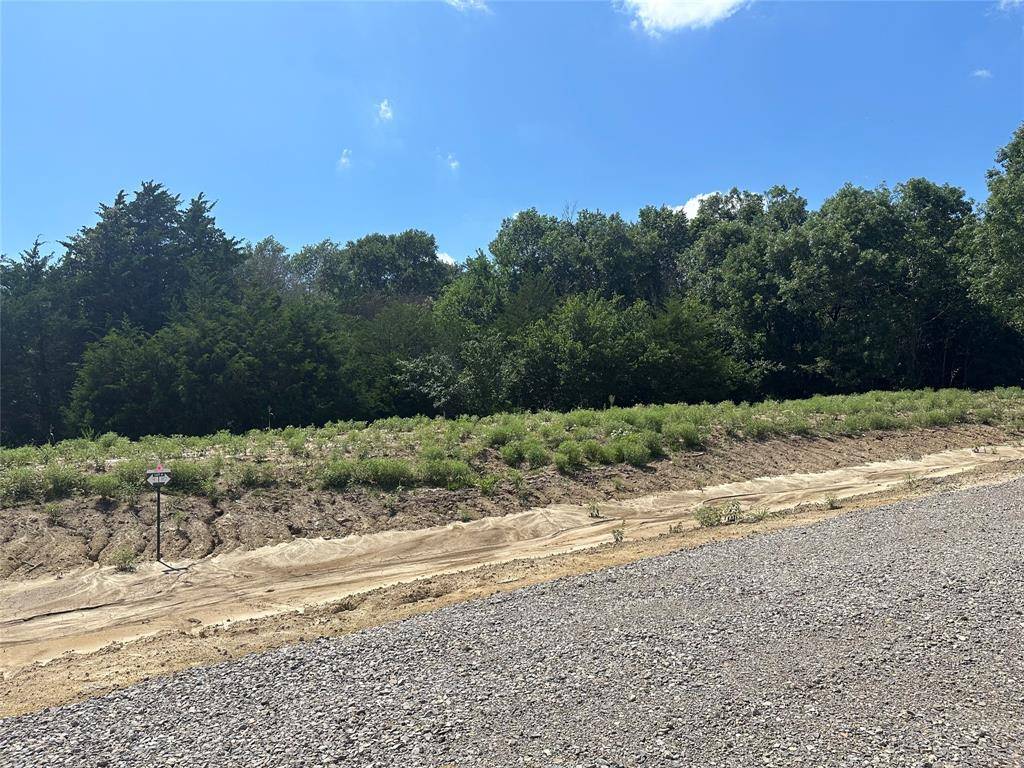 Farmersville, TX 75442,Lot 10 County Road 1110