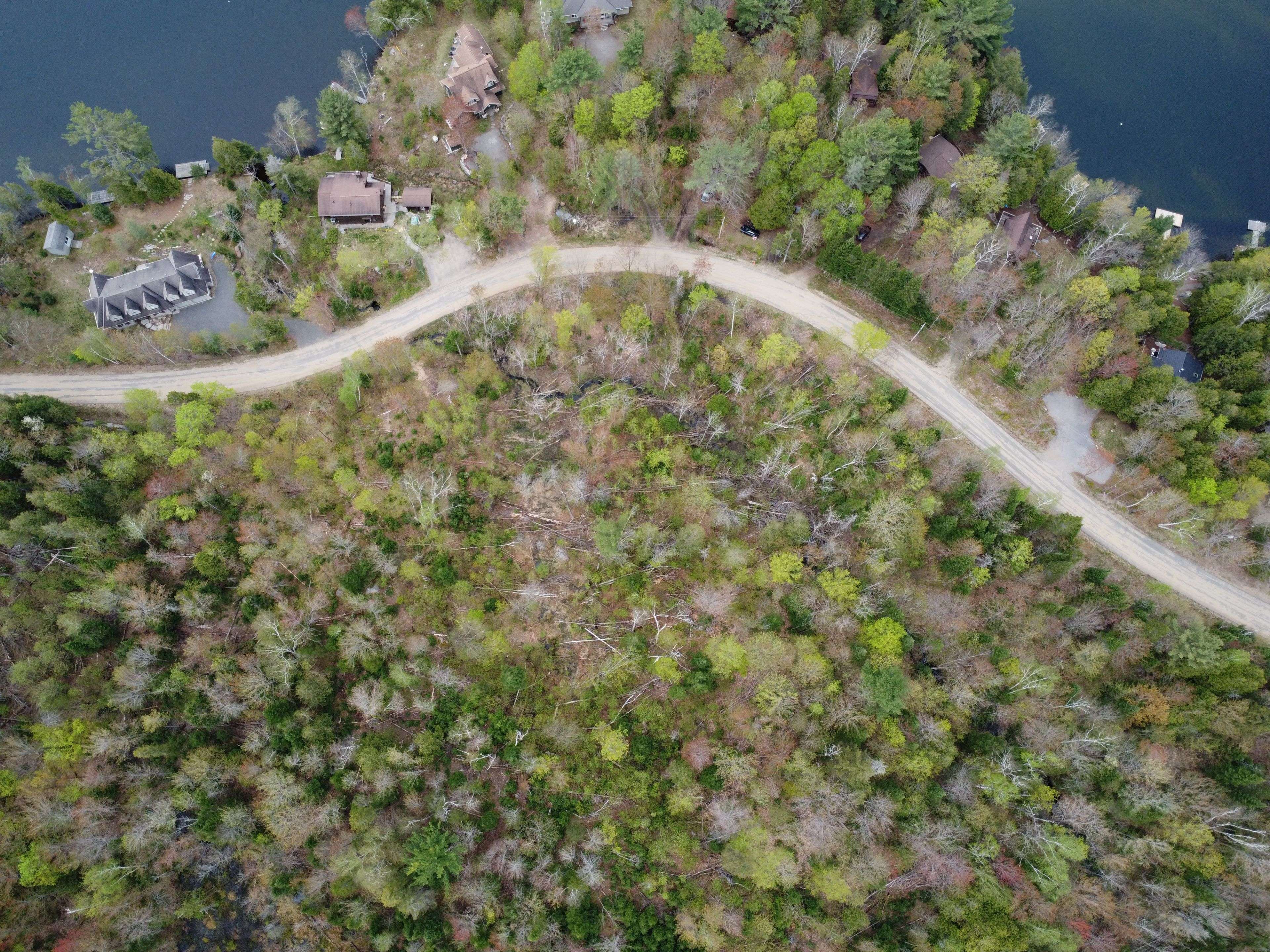 Lake Of Bays, ON P1H 2J6,PCL 21380 Walker Lake DR E