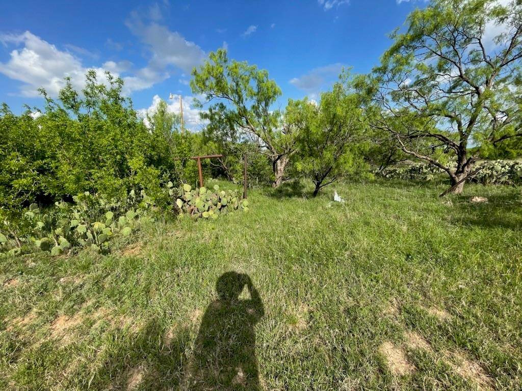 Anson, TX 79501,631 Avenue H