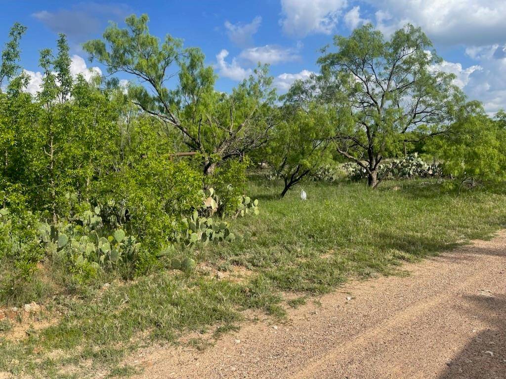 Anson, TX 79501,631 Avenue H
