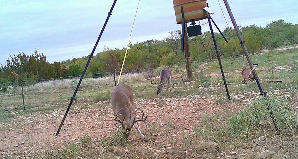 Miles, TX 76861,544 Private Rd 3922