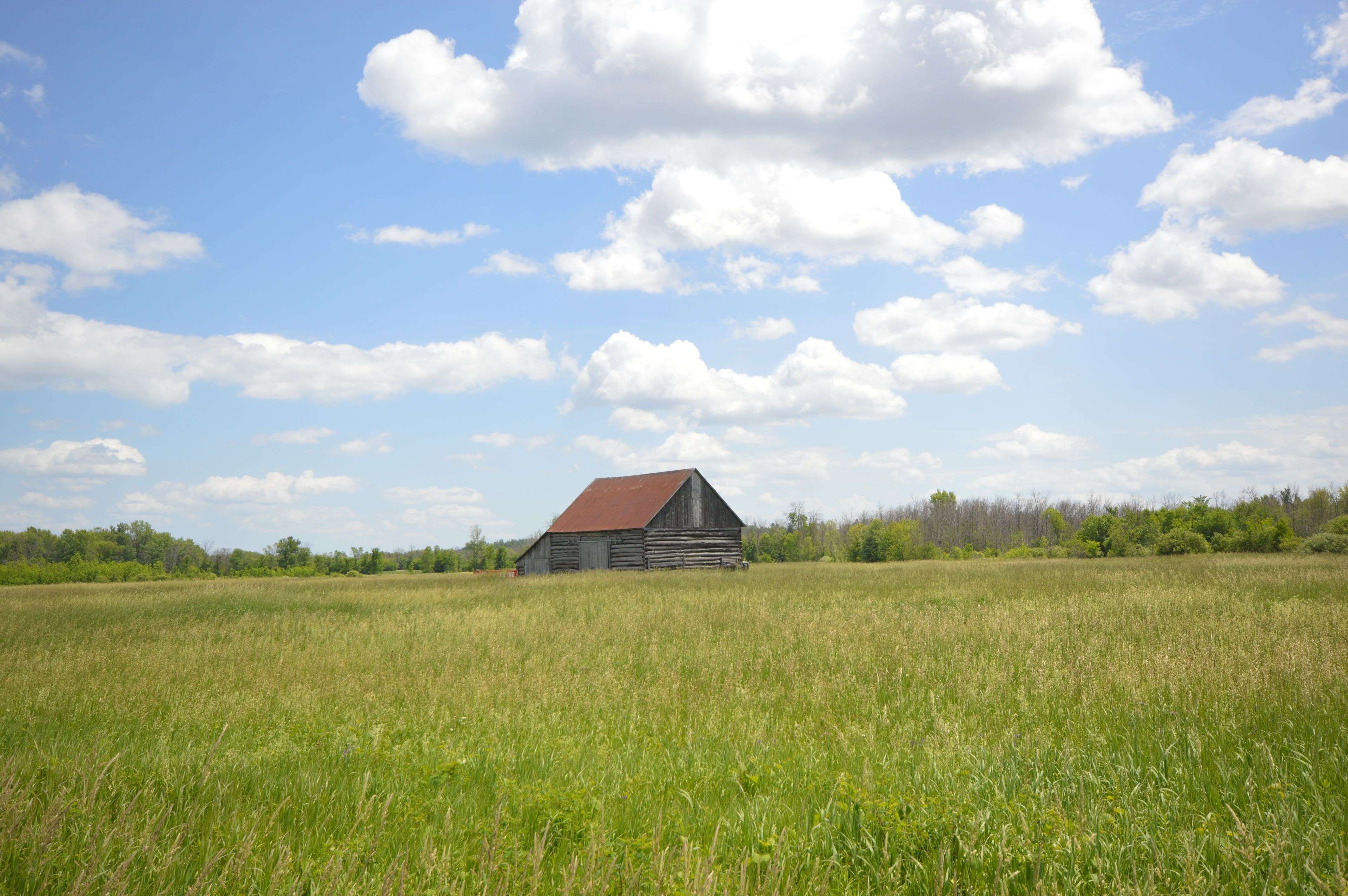Mcnab/braeside, ON K7V 3Z8,00 Storie RD