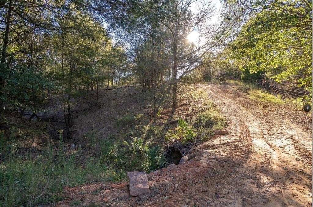 Edgewood, TX 75117,Tract 23 VZCR 3117