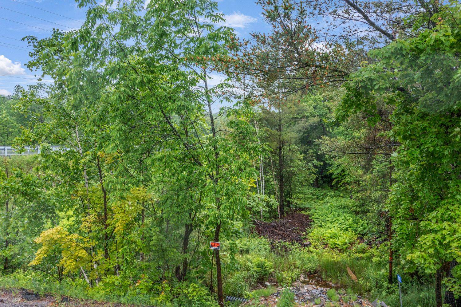 Muskoka Lakes, ON P0C 1H0,1001 Woodroffe RD
