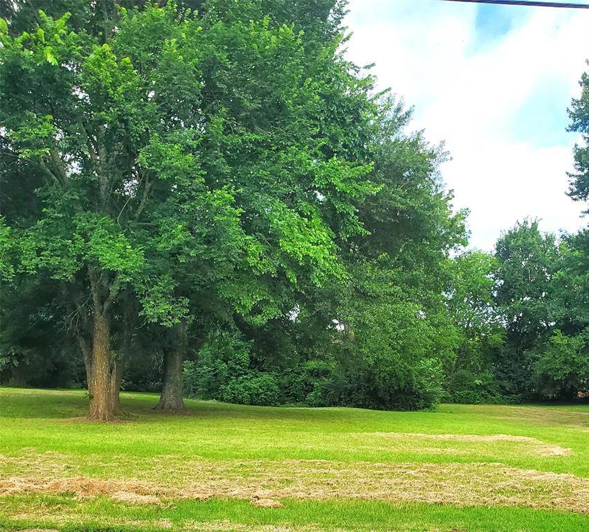 Mount Vernon, TX 75457,000 Dunlap Street
