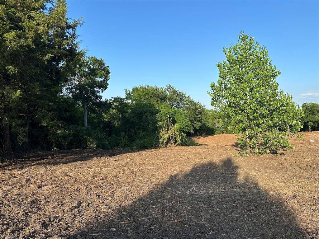Princeton, TX 75407,Lot 3 CR 1102