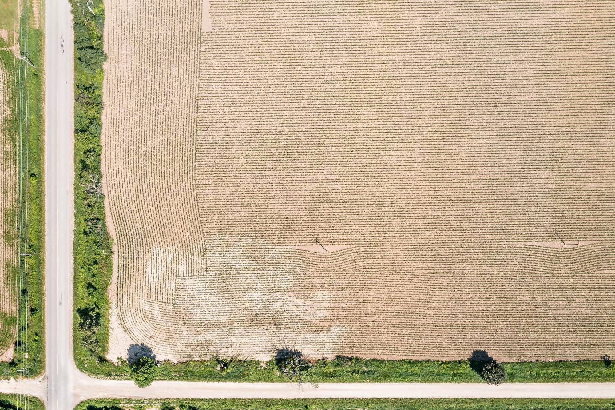 Clearview, ON L0M 1S0,7046 Sideroad 30/31 Nottawasaga N/A
