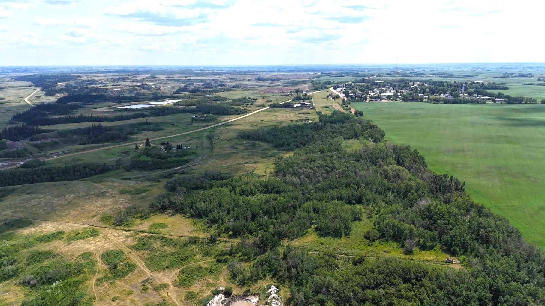 Rural Stettler No. 6 County Of, AB T0C 2L0,185 Range RD