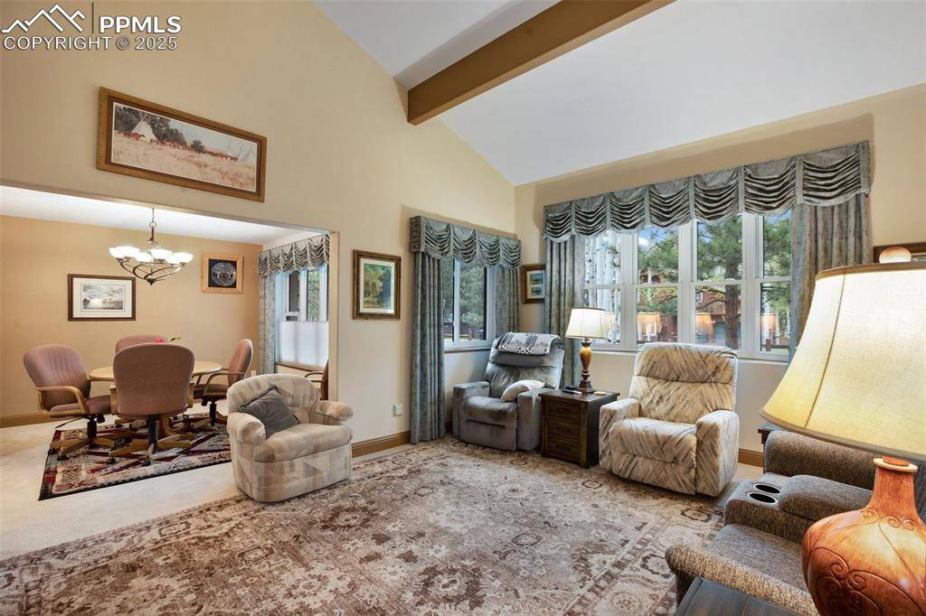 Woodland Park, CO 80863,1509 Sunshine CIR