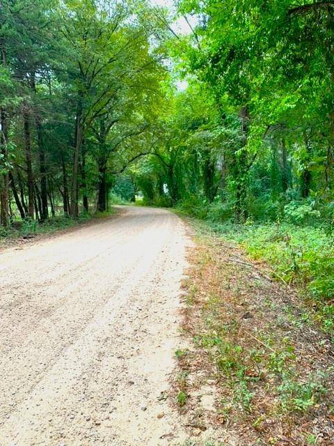 Honey Grove, TX 75446,2411 County Road 2411