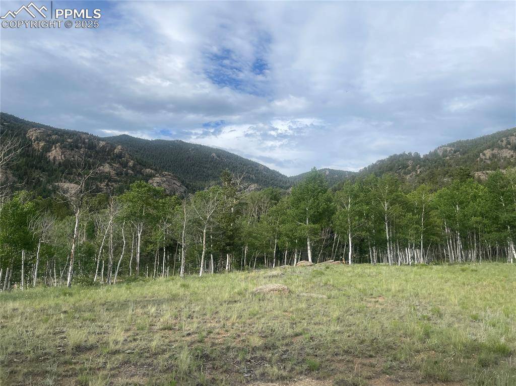 Lake George, CO 80827,171 Emerald WAY